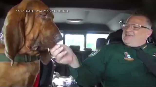 Sheriff posts creative video to prevent animal deaths