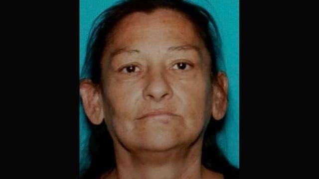 Woman goes on stabbing spree on Greyhound bus