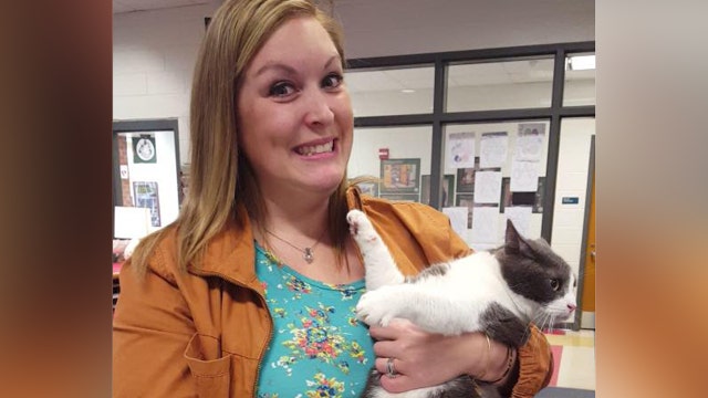 Teacher hears meows, discovers cat in student's backpack