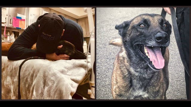 Chula Vista police officer loses beloved K-9 partner
