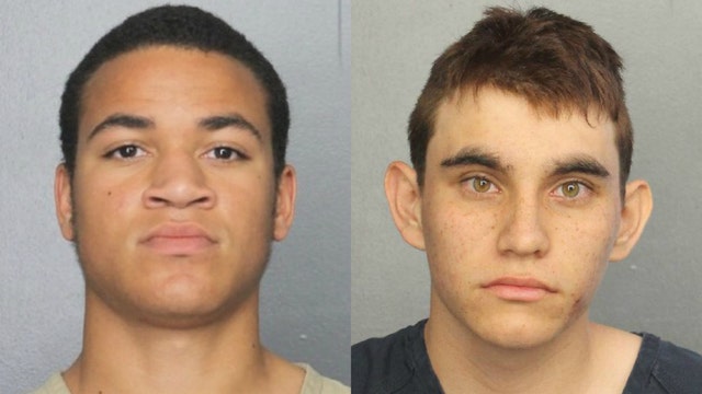 Parkland school shooting suspect's brother pleads no contest