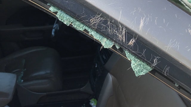 Deer crashes through window of moving SUV