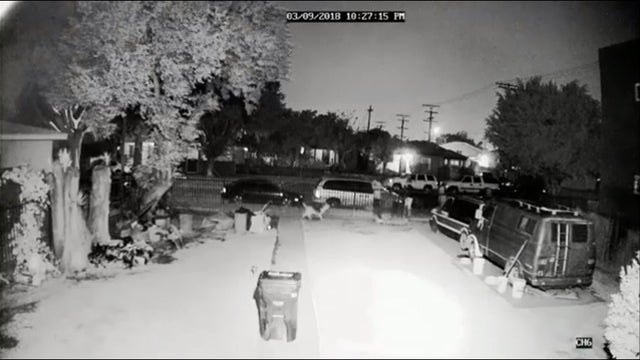Video shows men shooting and killing dog in South LA