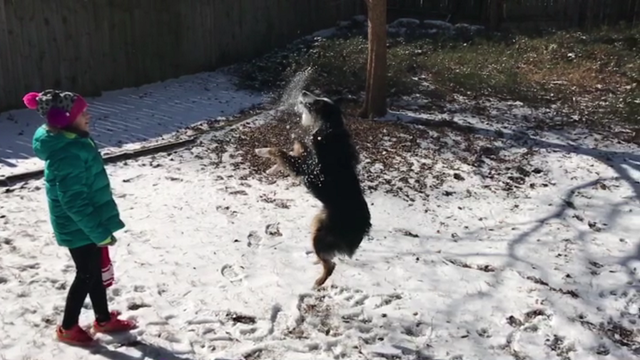VIDEO: Forsyth County girl and her dog share snow day fun