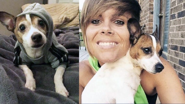 Woman's car, dog stolen while attempting to pump gas