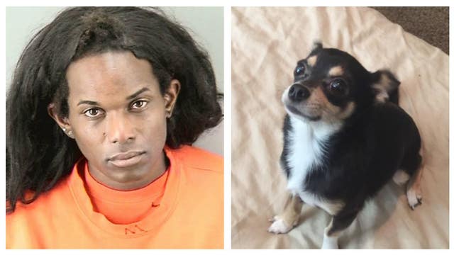 Police release photo of man suspected of throwing Chihuahua to its death