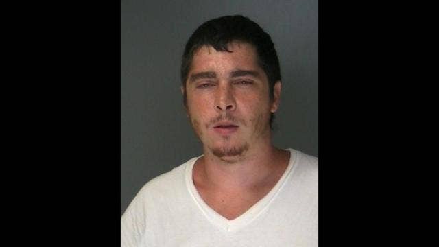 Man accused of sexually abusing horses