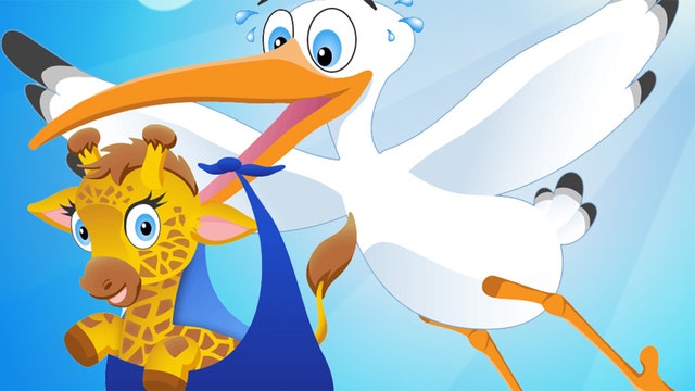 Animal Adventure Park launches vote to name April's baby boy