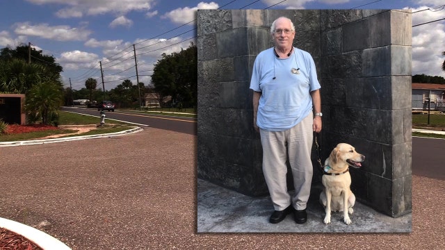 Troopers investigate after guide dog struck, killed in hit-and-run