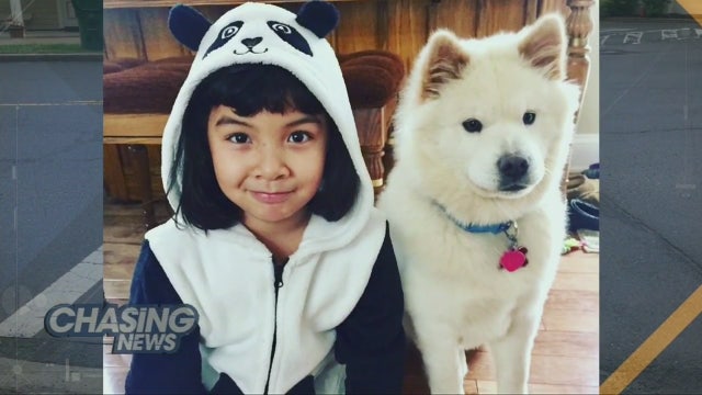 Family seeks help in locating hit-and-run driver