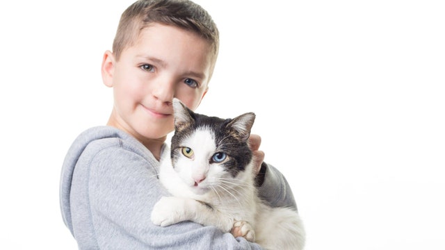 Bullied boy adopts kitty with same cleft lip, rare eye condition