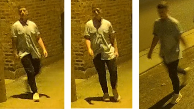 Girls, 11 and 13, sexually abused in home invasions in Lincoln Park