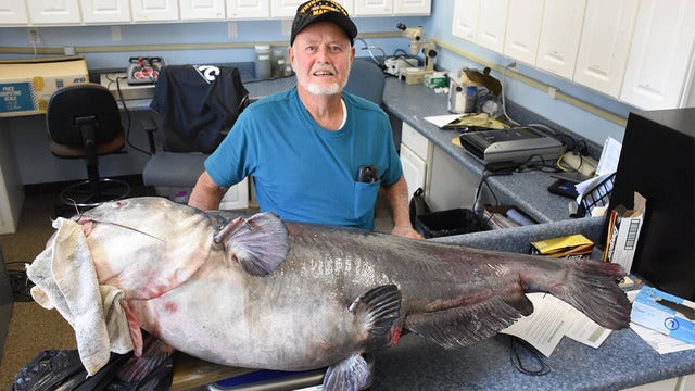 Massive 120-pound blue catfish caught in Florida panhandle
