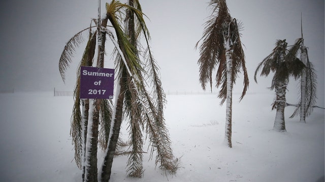 PHOTOS: ‘Bomb storm' dumps snow over DC, Maryland and Virginia