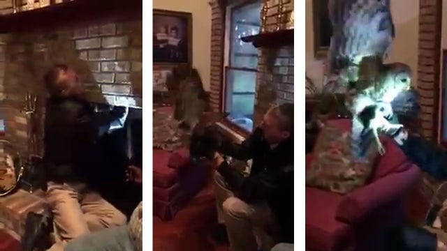 Who-who-who's that in the chimney?