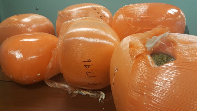 Huge pot bust worth half a million dollars in Rockdale County