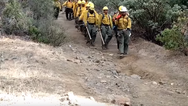 The internet loves these Samoan firefighters, aka the 'Singing Crew'