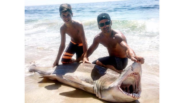 Boy reels in 200 lb. shark on Long Beach Island