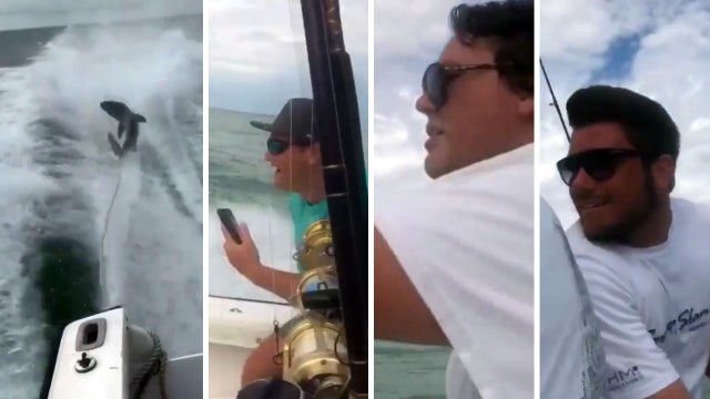 Charges dropped against one shark-dragging suspect in viral video