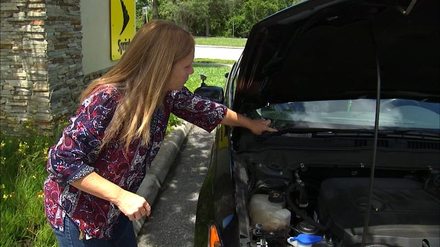 Snake pulled from under hood of car