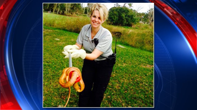 Slithery surprise in the laundry room -- times two