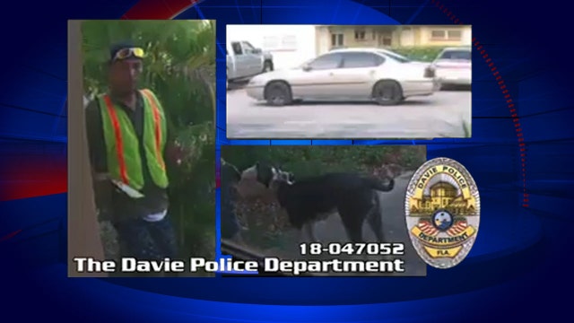 CAUGHT ON CAMERA: Police say thief stole pit bull from home
