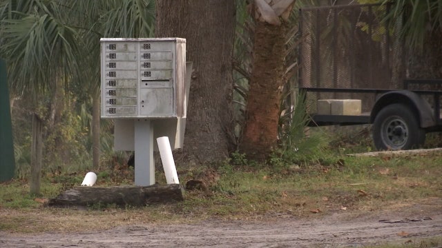Deputies: Toddlers found home alone with aggressive dog loose, gun nearby