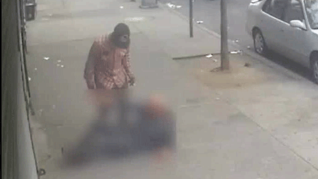 Vicious assault and robbery in the Bronx