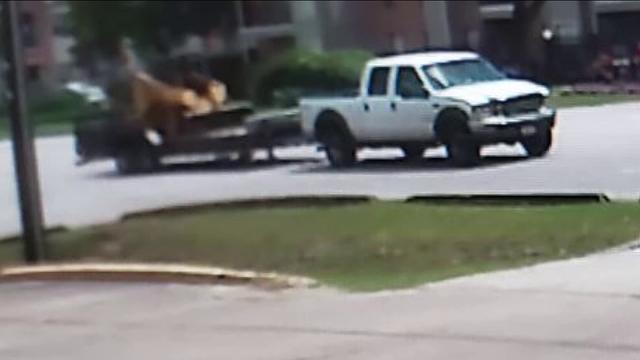 Family's truck used to transport daughter's wheelchair stolen