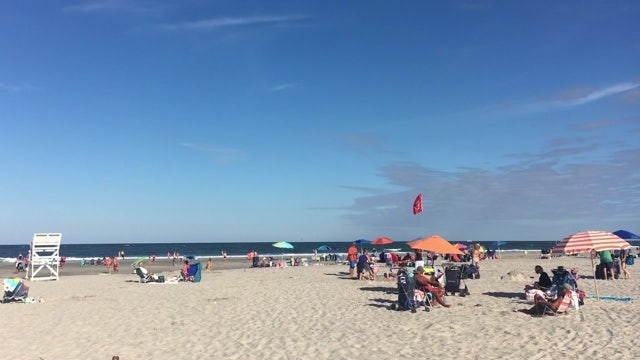 Woman reading book on beach run over by trash truck
