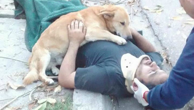 7e75a09b-dog hug_1495069737531-404023.jpg