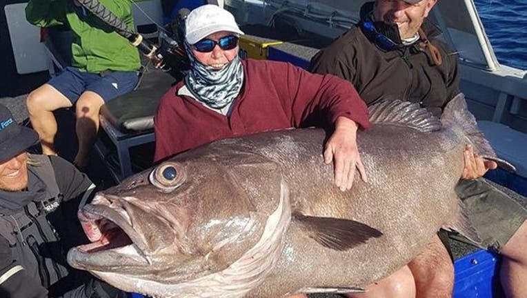 e3ea1208-giant fish credit Brendon Shinnick Reel Force Charters_1520977473381.jpg-401385.jpg