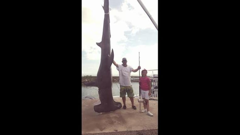 023f8c3c-hammerhead_1499723552259-408795.jpg