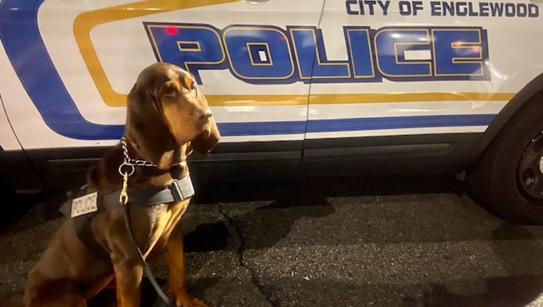 MaywoodPoliceDog1.jpg