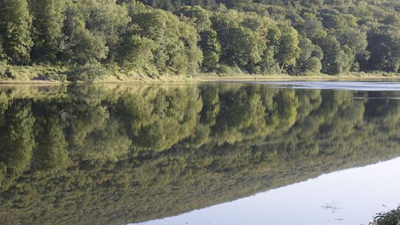 Man dies tubing down Delaware River