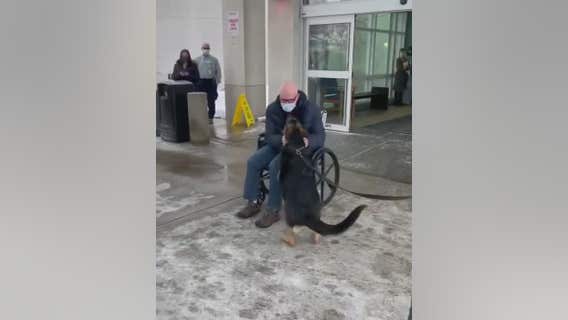Emotional reunion between NJ man and dog who saved his life