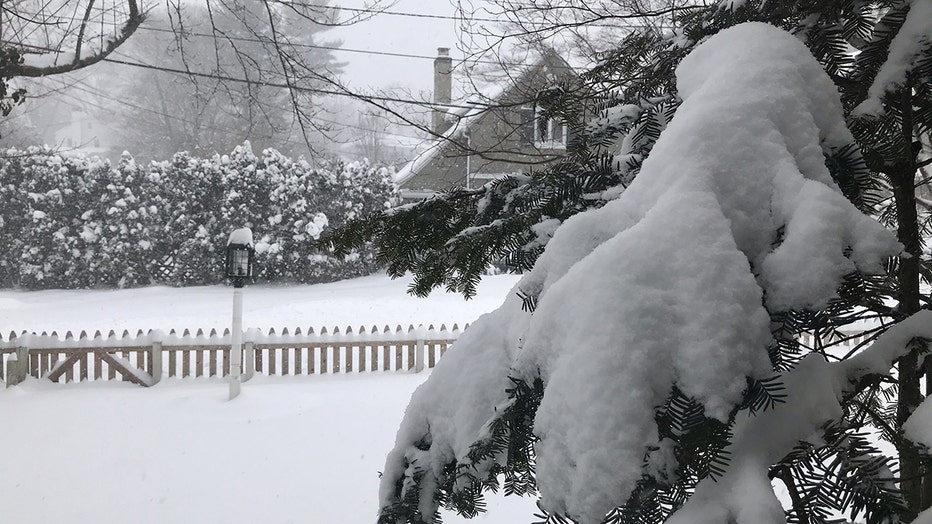 snow-westfield.jpg