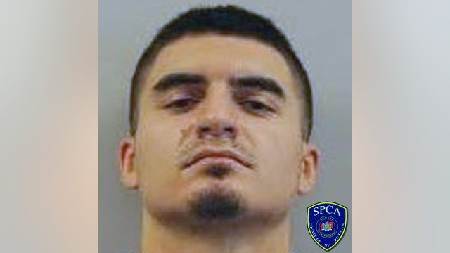 NJ man accused of killing ex-girlfriend's dogs and ferret