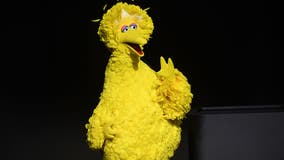 Sesame Street's Big Bird gets COVID-19 vaccine