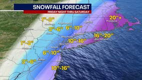 Snowstorm NYC:  Nor'easter targets NY