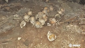 Scores of skulls believed to be part of recent crime scene are actually thousands of years old