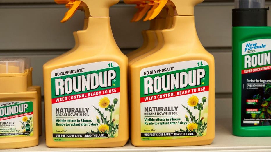 Plastic containers Roundup no Glyphospahte weed killer spray on shelf display in garden center, UK