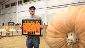 Nearly 2,500-pound pumpkin breaks Massachusetts fair record