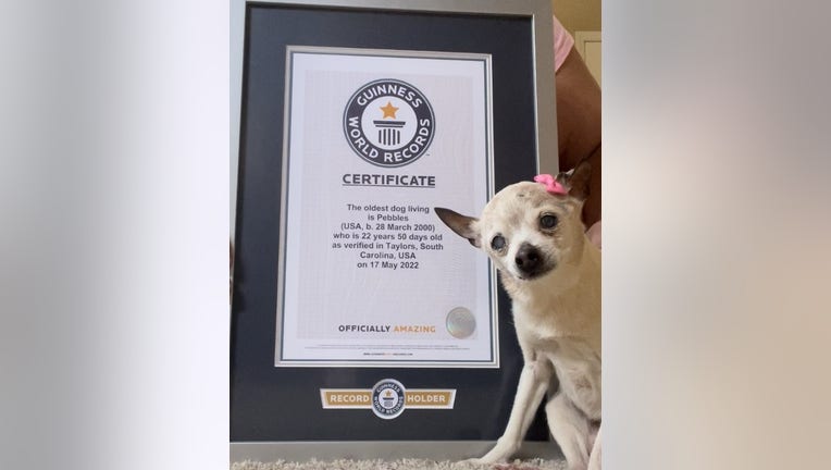 6316d472-Pebbles-Certificate.jpg