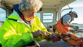 She's perhaps the oldest lobsterwoman in the world: Meet 102-year-old Virginia Oliver