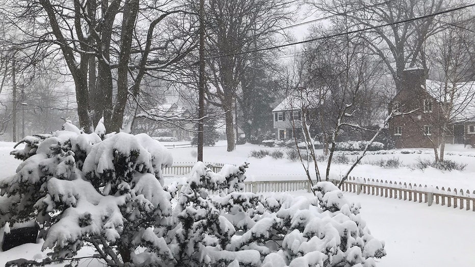 snow2