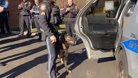 Retiring NJ K9 gets standing ovation