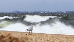 15-year-old boy drowns, 5 others rescued from ocean in NJ