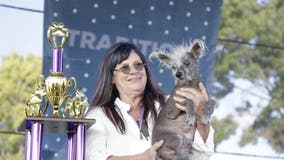 World's Ugliest Dog crowned in Petaluma