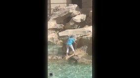 Woman caught on camera wading through Rome ‘s Trevi Fountain to fill water bottle